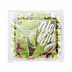 Colourful Salad Box Product